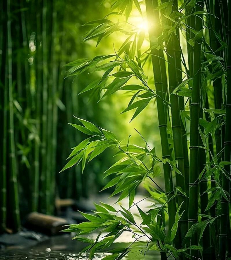 【神州源流诗苑】第1292期优秀现代诗等周刊(图8)