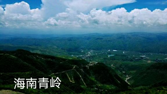 分界洲岛～诗||李耀文（图15）