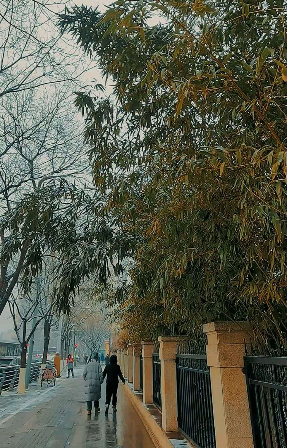 七绝-反常的寒冬～诗||真诚（哲林）（图9）