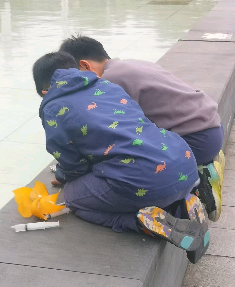 中山公园漫步/磊怀（图10）
