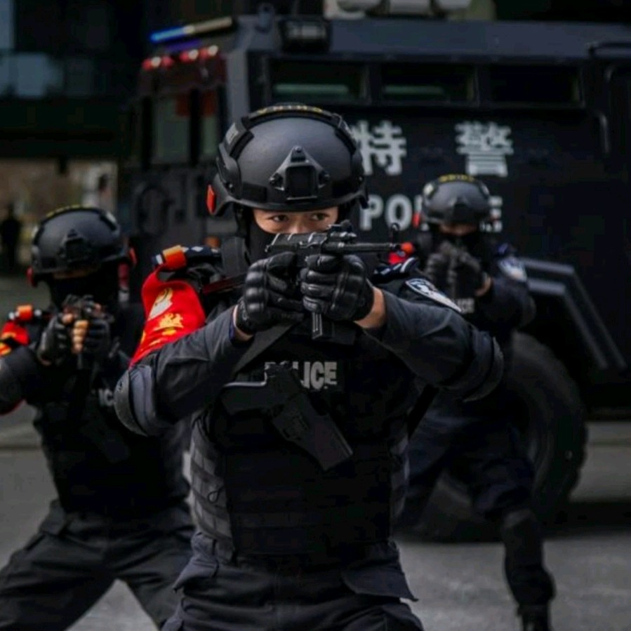 《九江文学社：北京头条》热烈庆祝第五个人民警察节（图12）