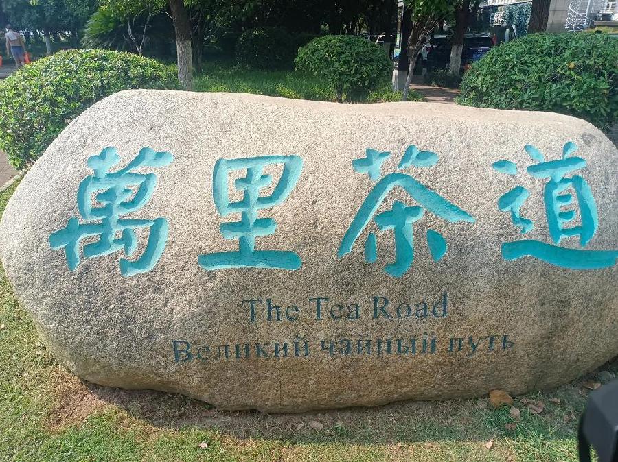 【九月茶韵文学诗社】2025—004《一个行走在声音世界里的女诗人》作者/碧云天 主播/小丽花 编辑制作/刘林丽（图9）