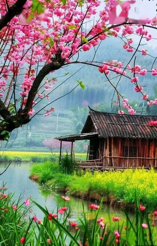 蓝树叶小众群2015年1月第一期积分同题诗（图5）
