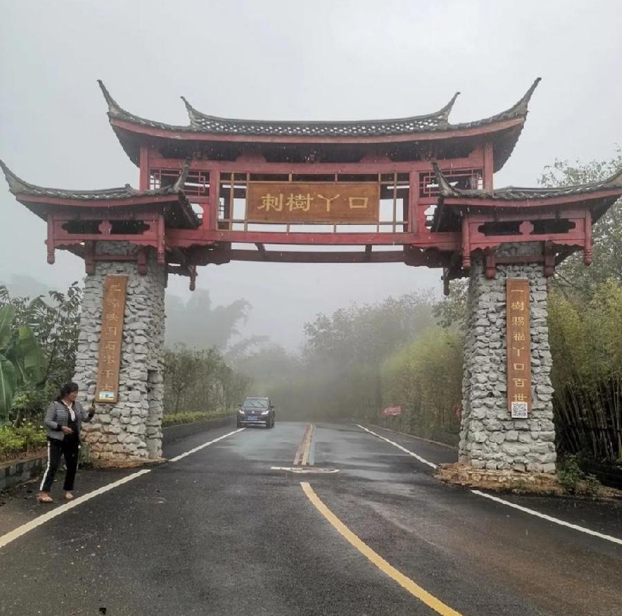 【国风燕赵诗社】何平军老师《刺树丫口集》序 诗词专辑与您共享！（五）（图12）