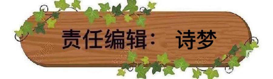 东渡诗社：一月刊（总期第五十六期）2025年｜海外头条（图24）
