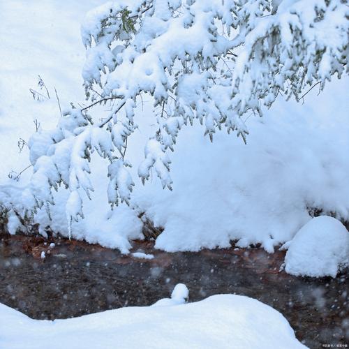 同题诵《我怀念北方的雪》 作者 ：碑林路人（图6）