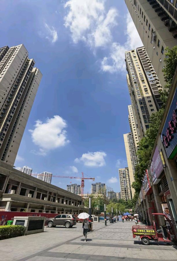 「散文」迎着暖阳逛新城（图2）