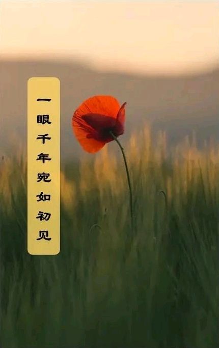 人生若是如初见～诗||马文同（图8）