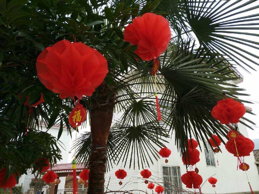 【枫雅汇看图约诗】诗人陈江《300期》(新年的春天)(图4)
