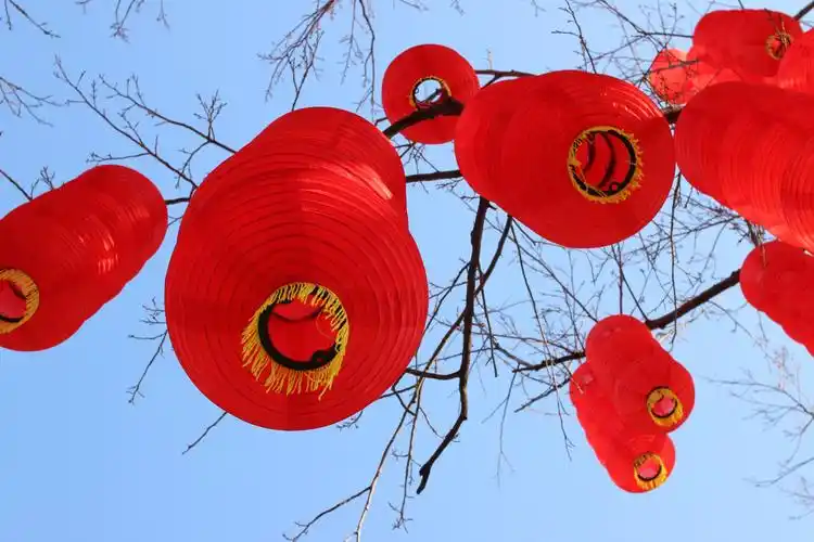 【枫雅汇看图约诗】诗人陈江《300期》(新年的春天)(图3)