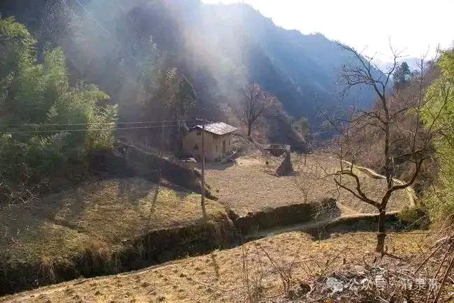 脆弱的生命（图4）