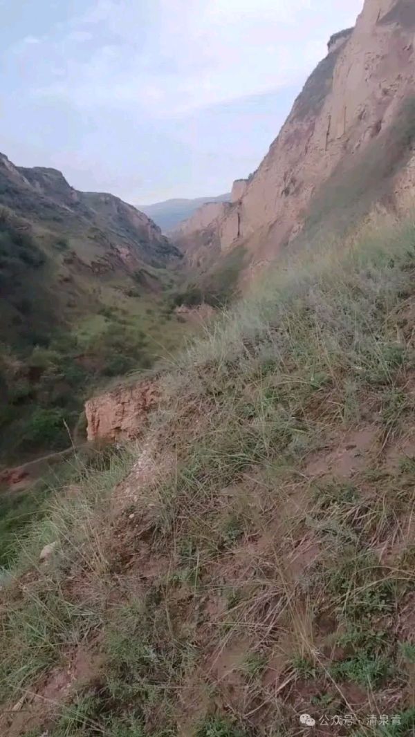 脆弱的生命（图3）