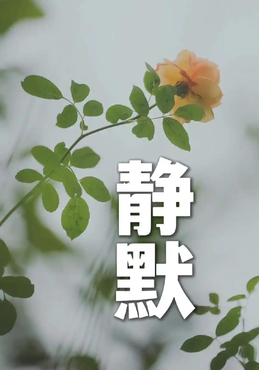 华万里：《静默来找我时》海外头条（图5）