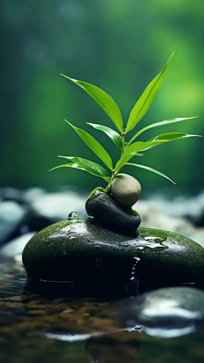 未满：《蚂蝗》海外头条（图5）