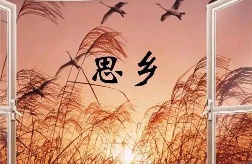 如梦令-闲居（组合）词||马文智（图14）