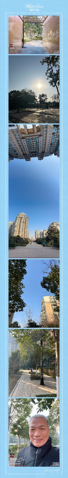 第05集《🌇寒冬腊月》一一锦园小区掠影花絮(图2)