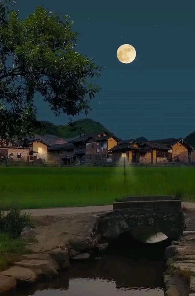 【九月茶韵文学诗社】2025—006期《故乡，心灵的归宿》作者/赵志斌 主播/阿梅 编辑制作/刘林丽（图4）