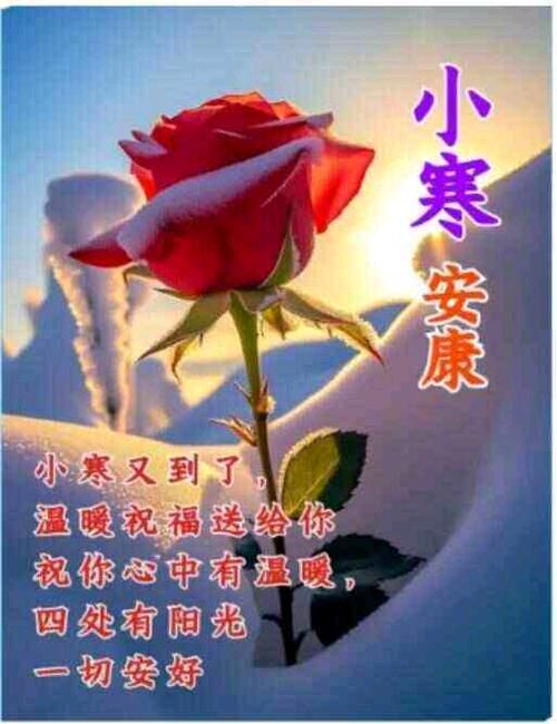 【冬韵抒怀】“农民诗人”曹南强//亡妻生日有感[系列作品展]（图7）
