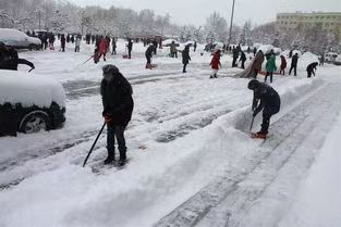 叹新疆罕见暴雪～诗||雅轩琴韵（图15）