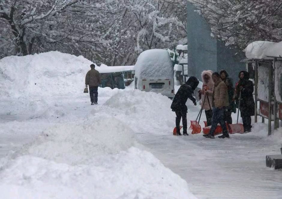 叹新疆罕见暴雪～诗||雅轩琴韵（图9）