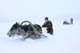 叹新疆罕见暴雪～诗||雅轩琴韵（图21）