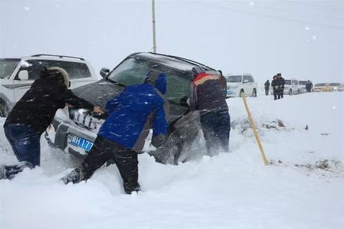 叹新疆罕见暴雪～诗||雅轩琴韵（图10）