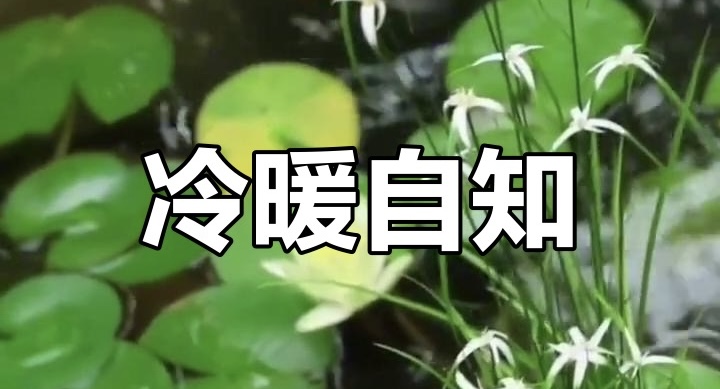 三行诗十八首：作者||金国民｜海外头条（图6）