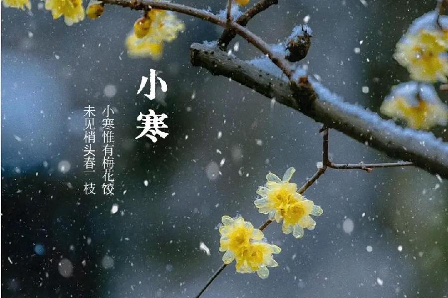 三行诗十八首：作者||金国民｜海外头条（图7）