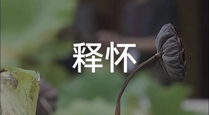 三行诗十八首：作者||金国民｜海外头条（图15）