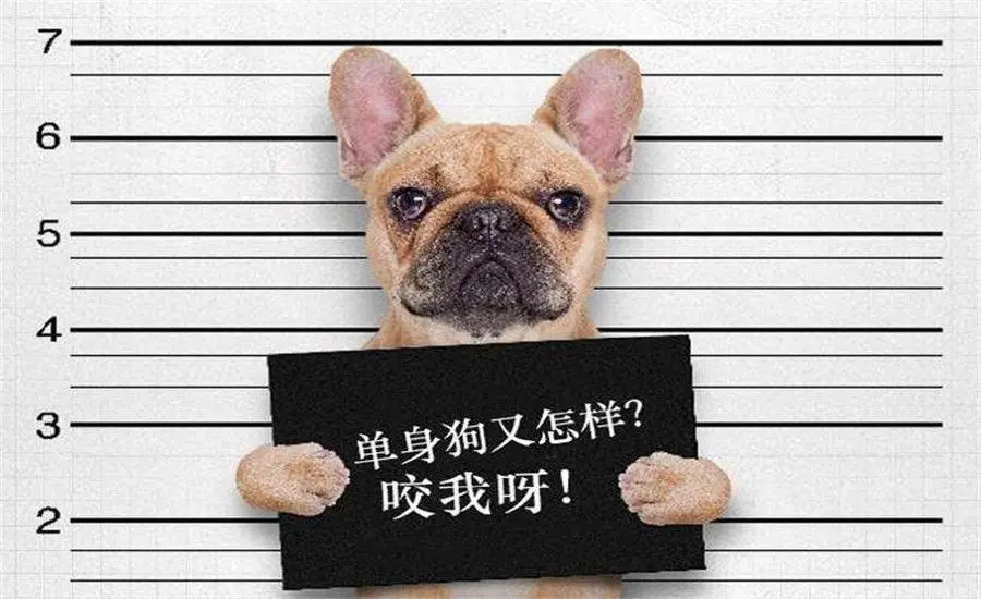 单身男联盟新创意（文/奇石）……莲叶之珠文学社