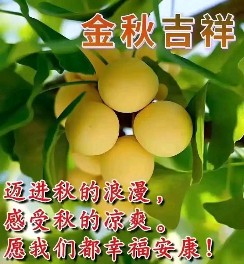 等你在金秋，快意唱人生～文||龚国珍（图17）