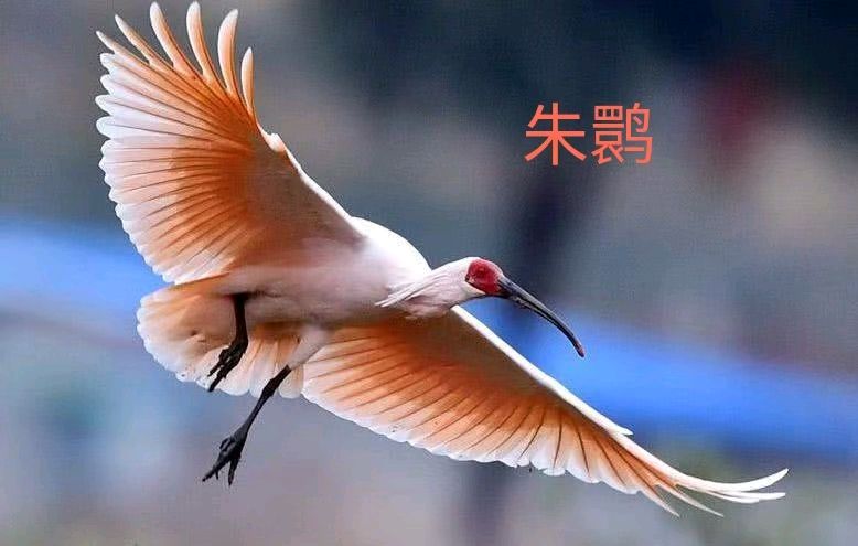 都市头条呼和浩特2024年度先进工作推荐(图9)