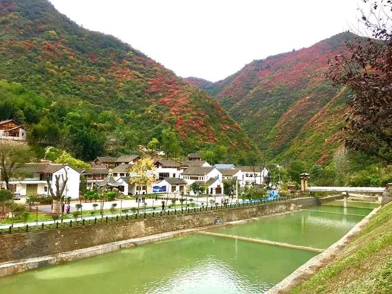 【荣耀中国】七言詩(古風)~福保 文/姜涛(昆明)（图2）