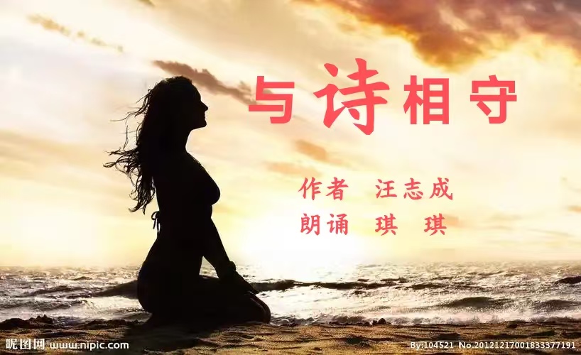 汪志成：《与诗相守》朗诵：琪琪~海外头条（图5）