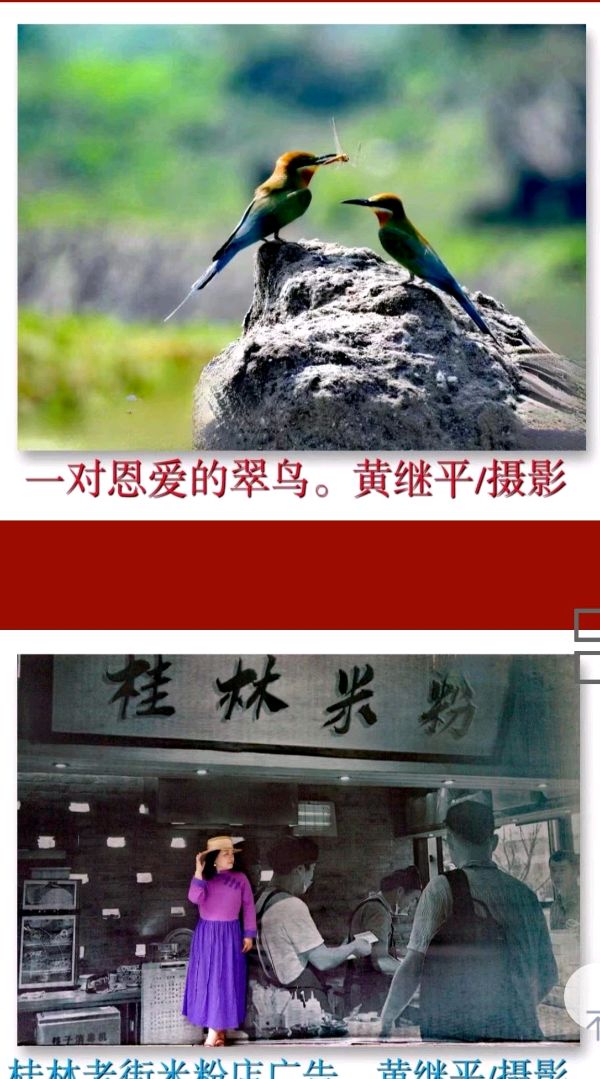 高歌一曲扬千古 乐道三章表寸心∥世界网络都市头条斑斓闪烁一页∥2024年桂林漓江诗书画社推荐优秀综述∥都市头条第228期∥书法江湖第20期(图45)