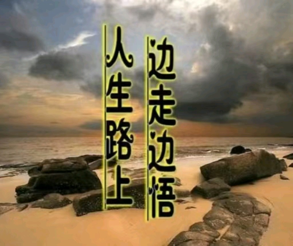 【明心文学】霍文学/人生 主播/薇薇（图2）