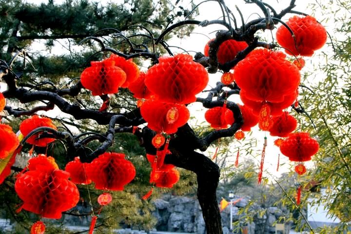 【冬韵抒怀】仇连山//五绝四首（图8）