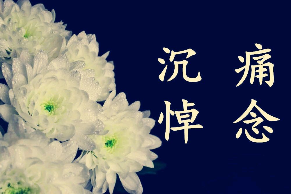七言排律-沉痛悼念张志臣战友仙世～诗||杨景儒（图9）