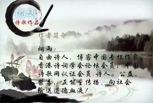 梦中的恋歌：作者/烟雨-朗诵 /菊花祝《巳巳如意，生生不息》海外头条春节联欢晚会圆满成功！（图7）
