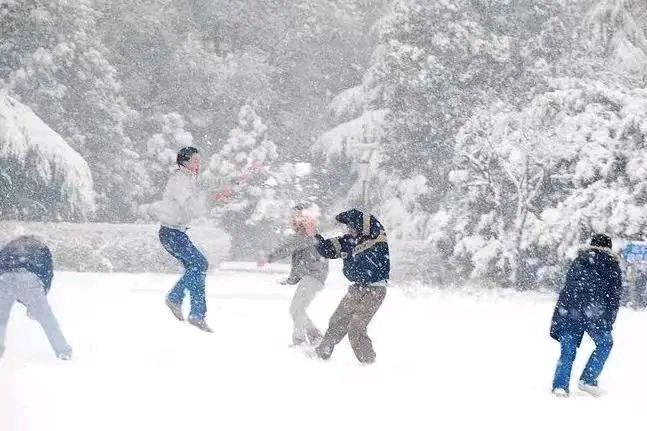 盼雪文/吴新改（图4）