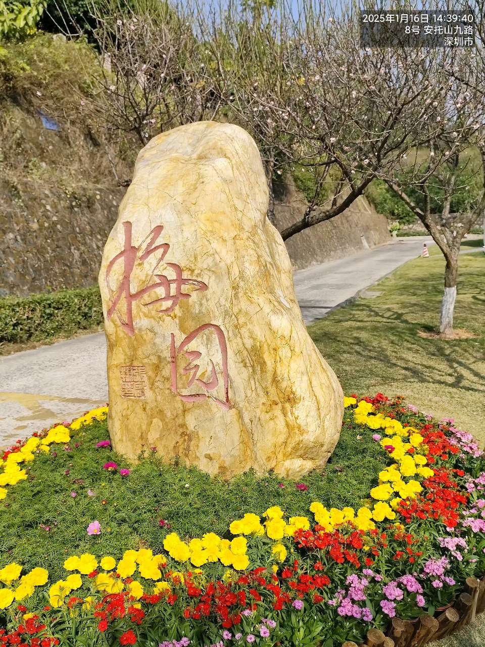 三元七绝诗~梅园(附对联)文/詹成（图2）