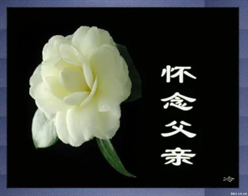 甲辰腊月十五日怀念父亲（文/彭云南）……莲叶之珠文学社