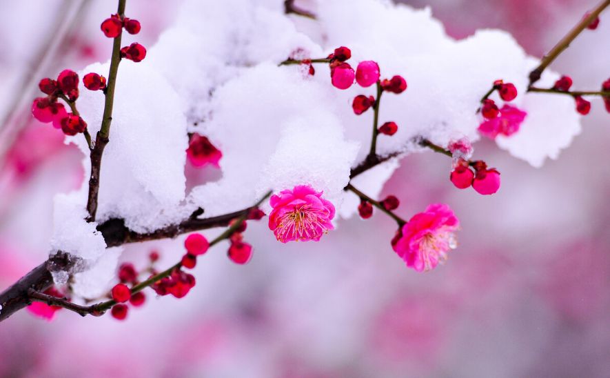 【神州源流诗苑】第1296期优秀近体诗周刊(图4)