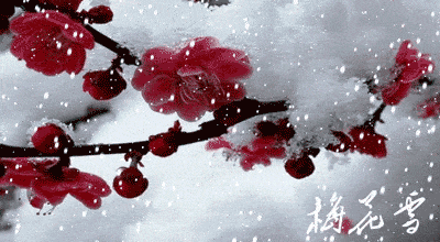 【神州源流诗苑】第1296期优秀近体诗周刊(图8)