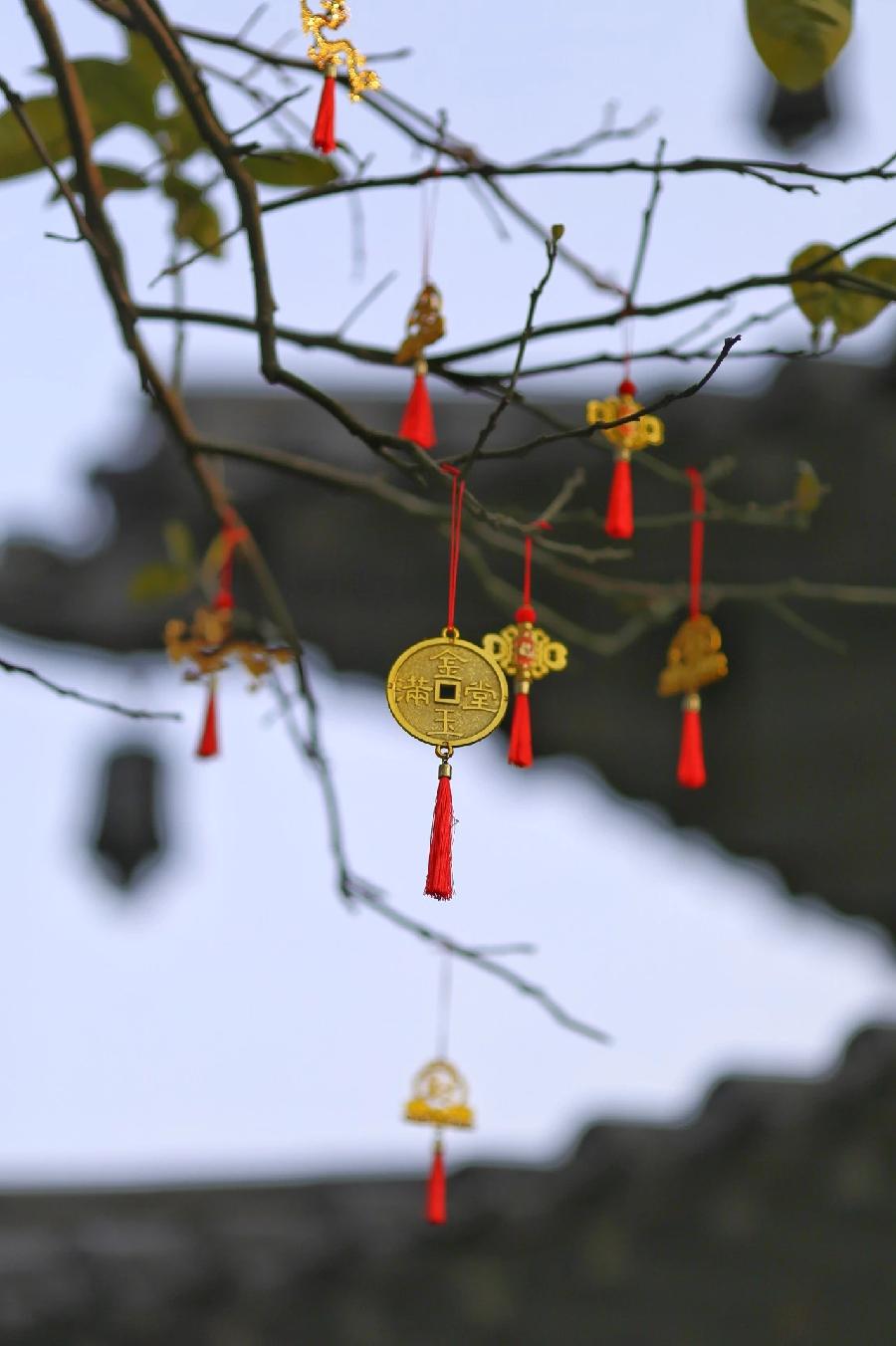 王金政的《冬日杂感》