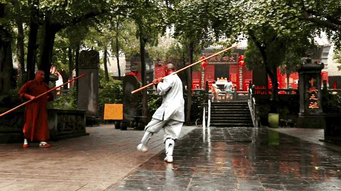 【枫雅汇看图约诗】第370期《中华武术》(图8)