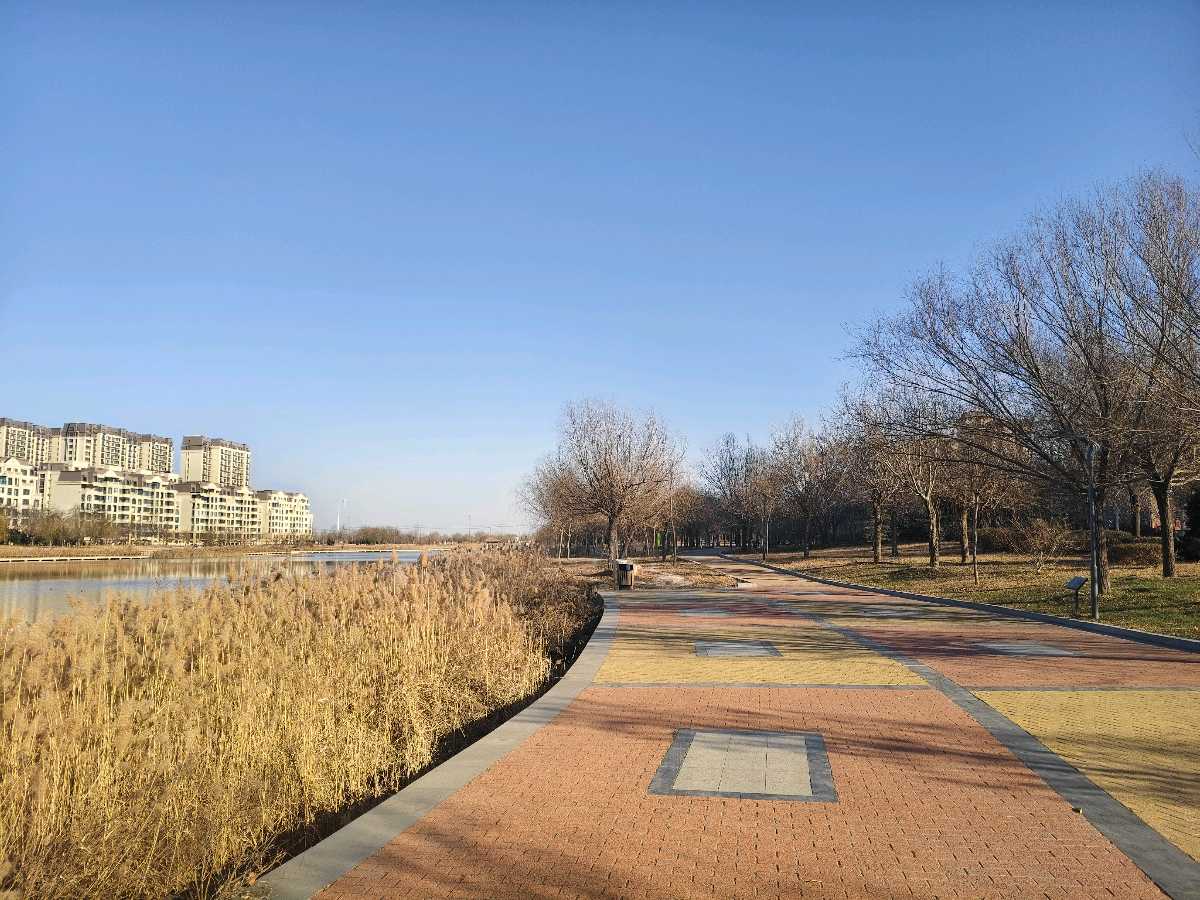 【5866】张荣岐诗作《深冬暮景》（图2）
