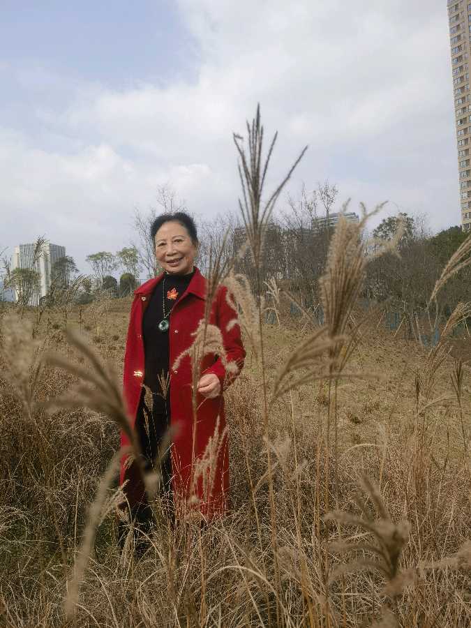 「散文」迎着暖阳逛新城（图25）