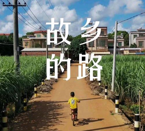 《家乡的那条路》 作者:何武平/陕西宝鸡（图3）