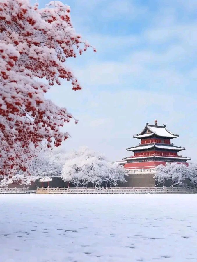 欣赏刘国星老师律诗·《雪后游沈阳故宫》（图3）
